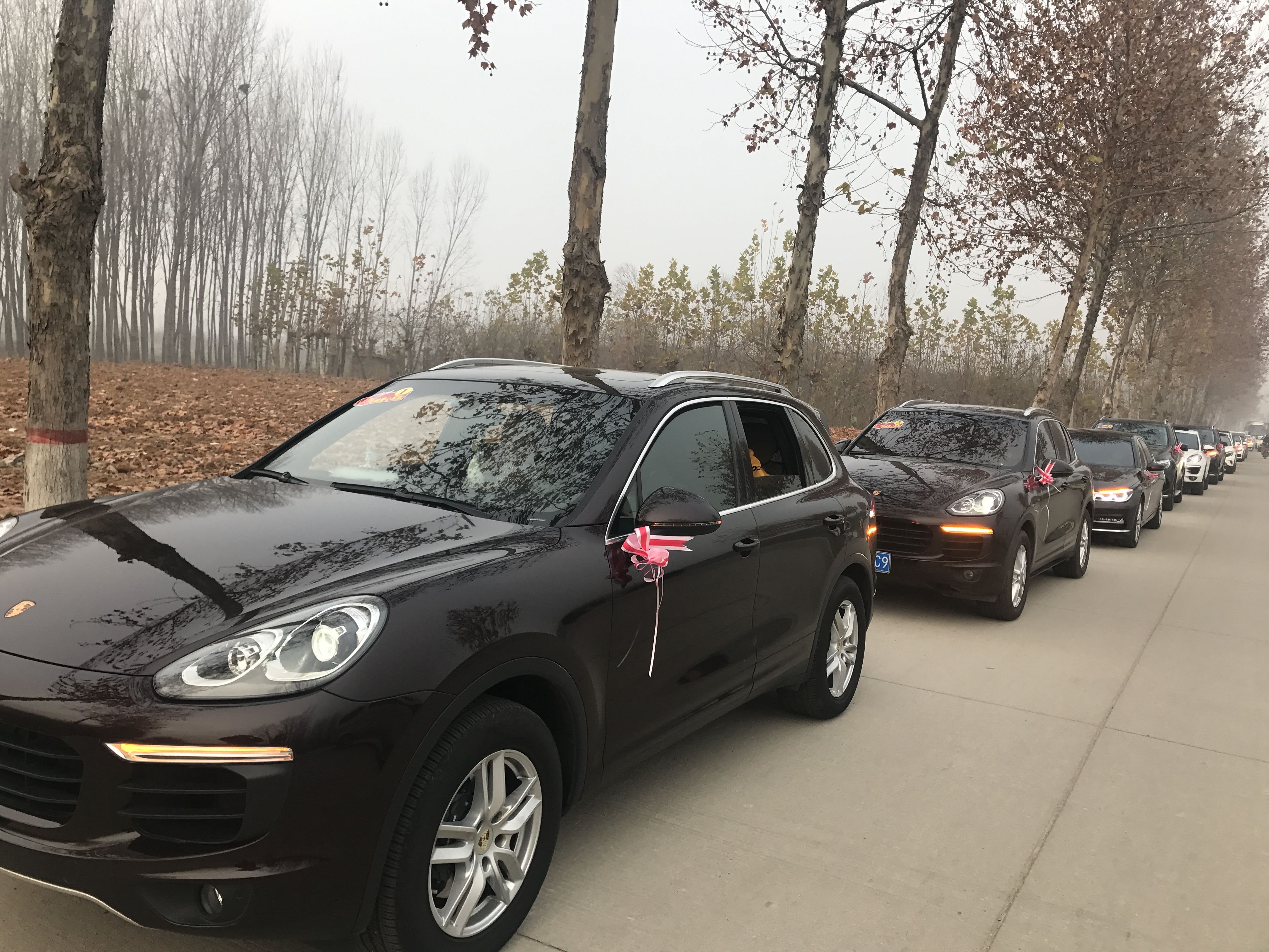 第183所 泰安市岱岳区良庄镇乐竞体育_乐竞体育中国一站式服务官网
李娜小学