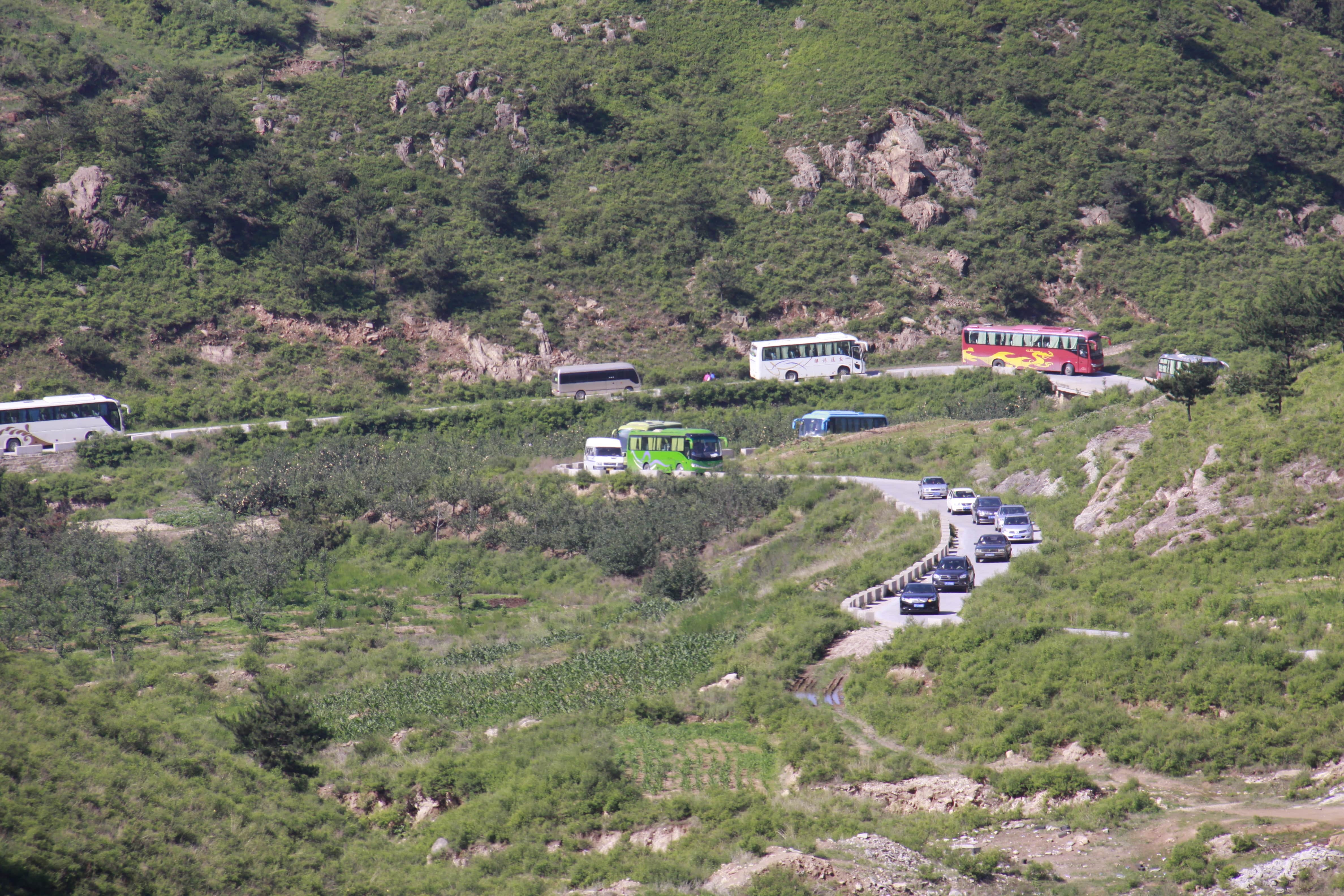 第26所 葫芦岛市永安堡乡乐竞体育_乐竞体育中国一站式服务官网
张越小学